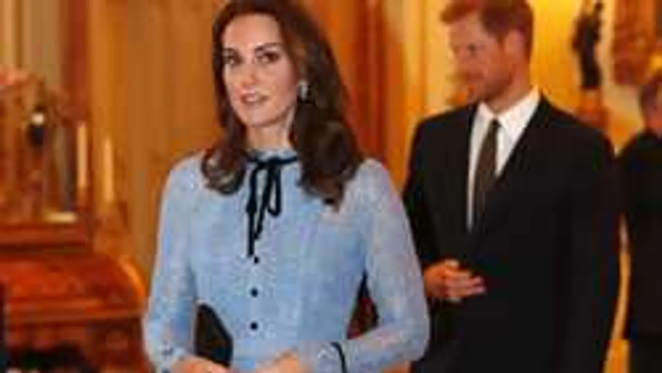 Katalin hercegné fanyalog, ez a baja Harry kapcsolatával