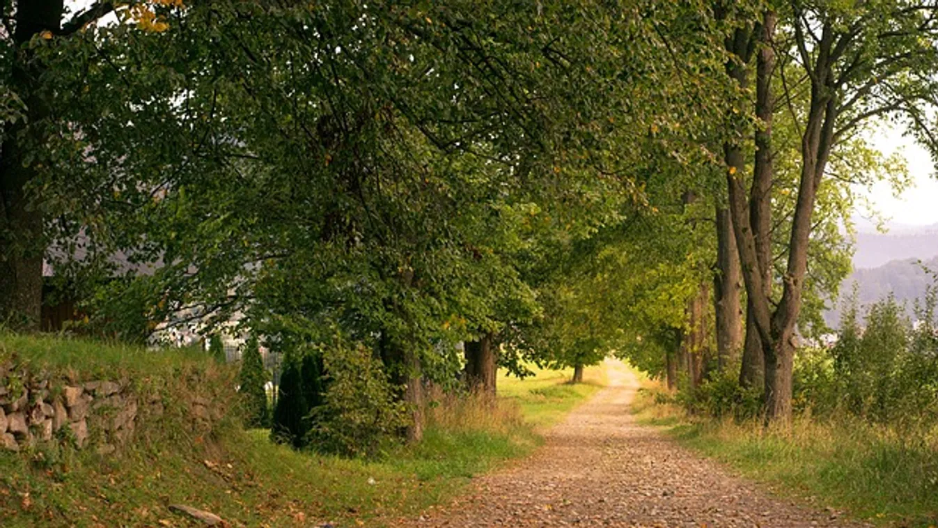 Ennek a három csillagjegynek nem várt fordulatot hoz a szeptember, rájuk mosolyog a szerencse