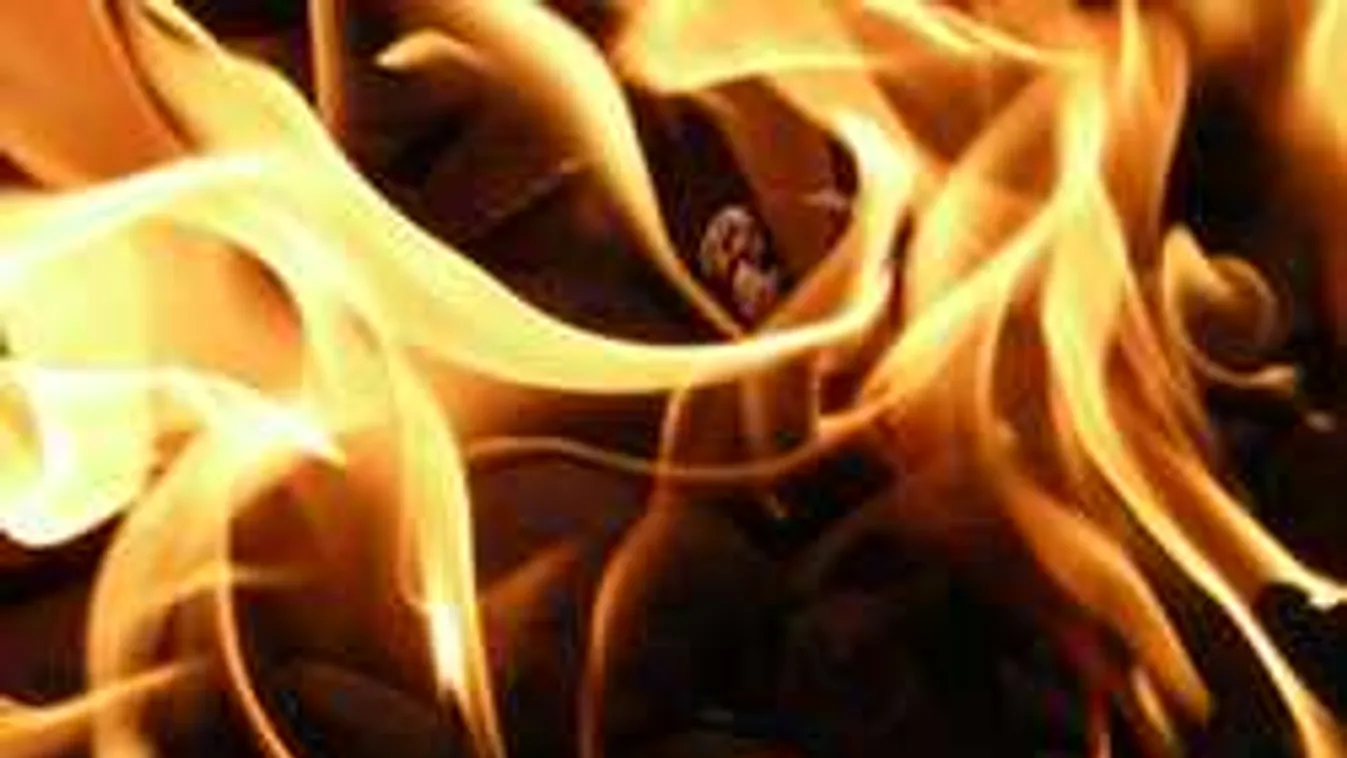 A balástyai férfit elbűvölte, amit a nádasban látott