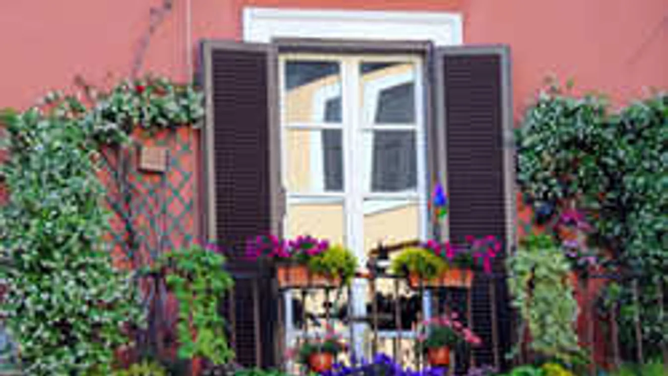 Virágoskert a panelben? Ültess olcsón, mutatjuk a trükköt