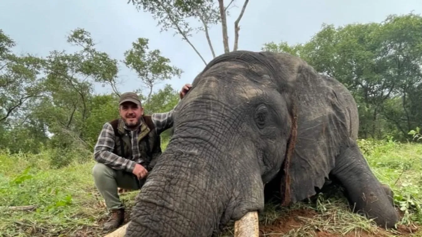 Bige László fia szereti legyilkolni az elefántokat