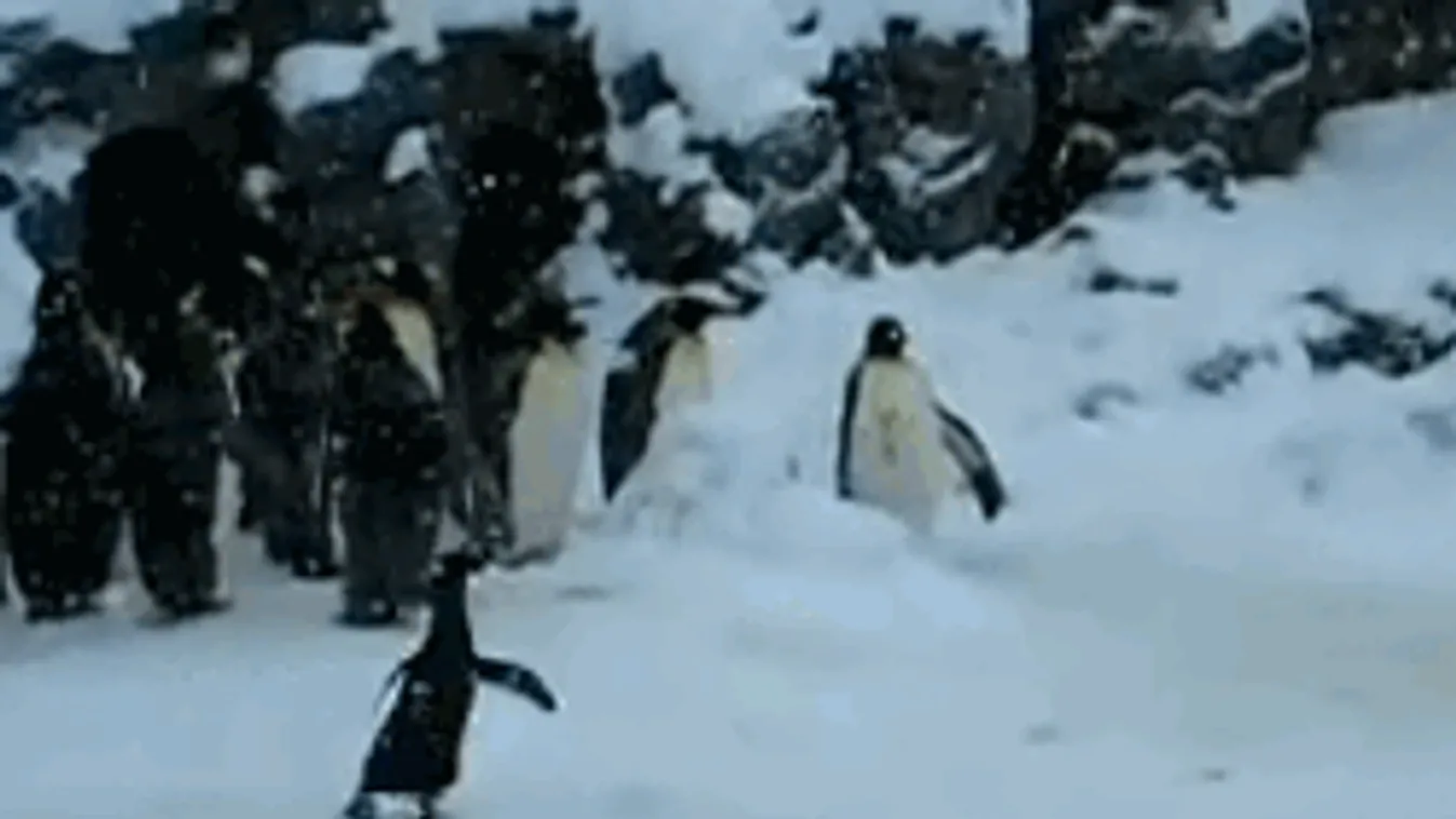 Kegyetlen fordulattal zárja az évet az időjárás, durva napok jönnek