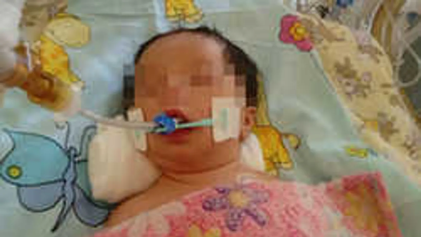 Könyörög a magyar anya, hogy ne kapcsolják le a gépről a gyerekét