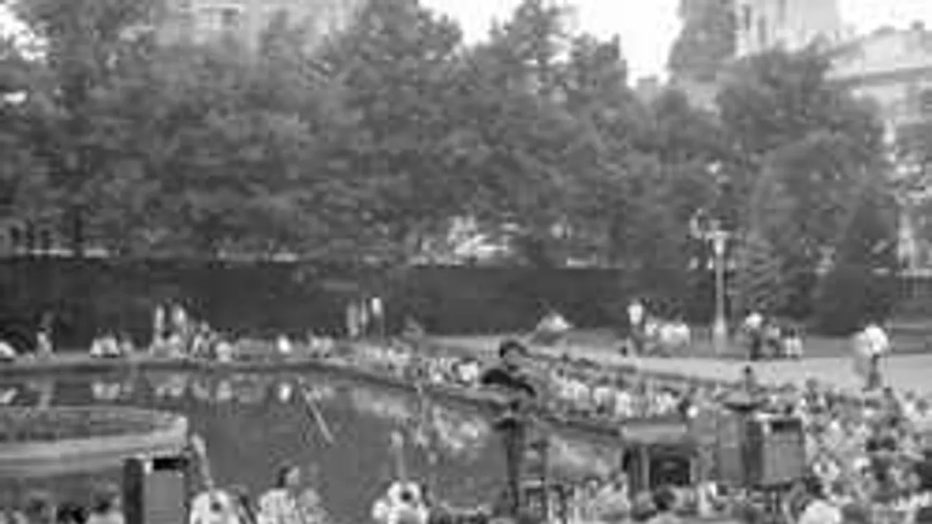 Felismered, ki van a fotón? Hihetetlen kép került elő a magyar sztárról