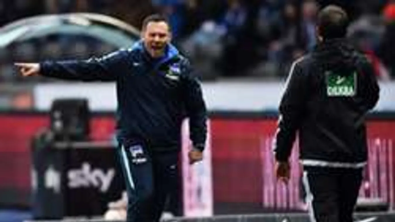 Dárdai elégedett az egy helyben toporgó Herthával