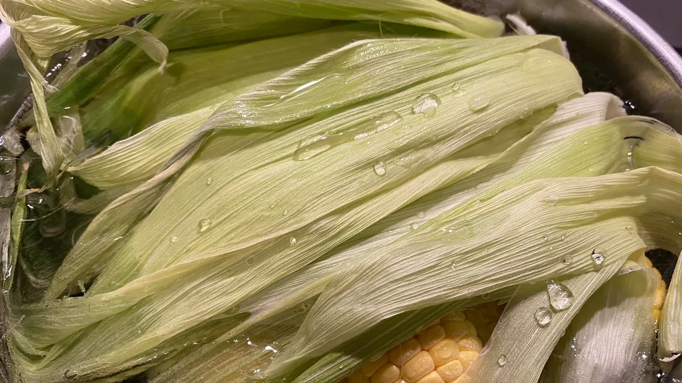 Ez az igazi főtt kukorica titka, így lesz igazán puha és édes