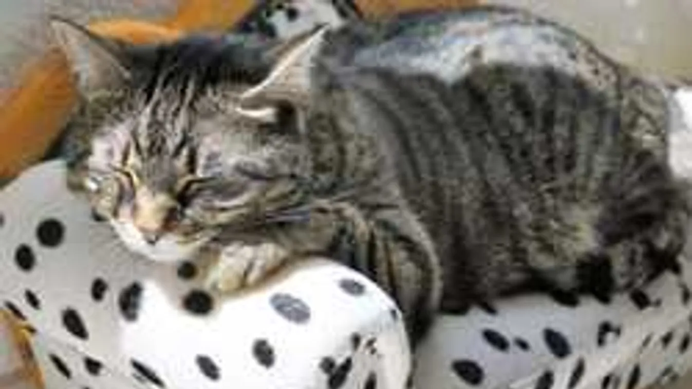 Zivatarveszély a kánikulában: meglepően alakul a hétvégi időjárás