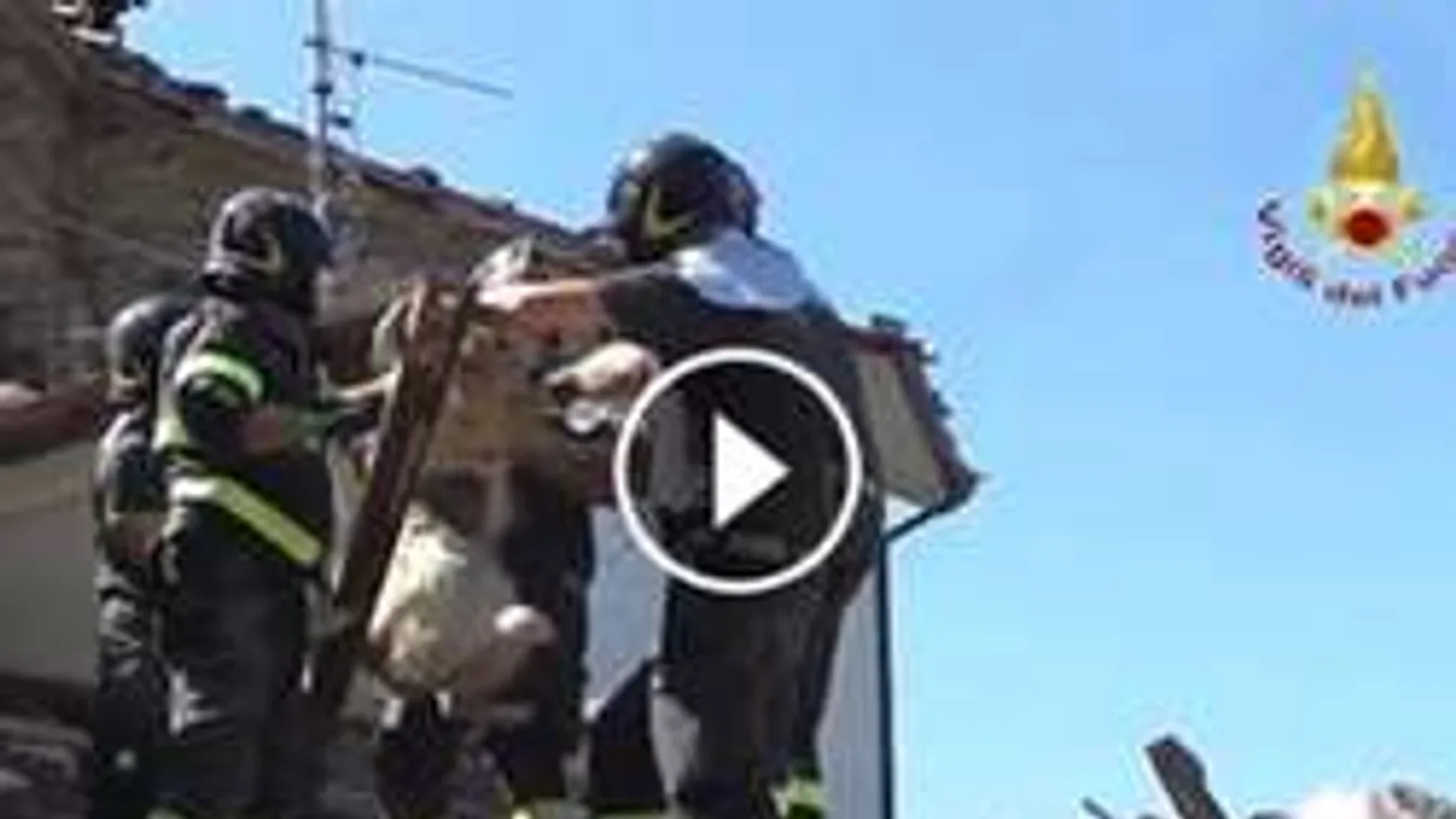 Romeo, a szerencse fia: 9 nap után mentették ki a romok alól