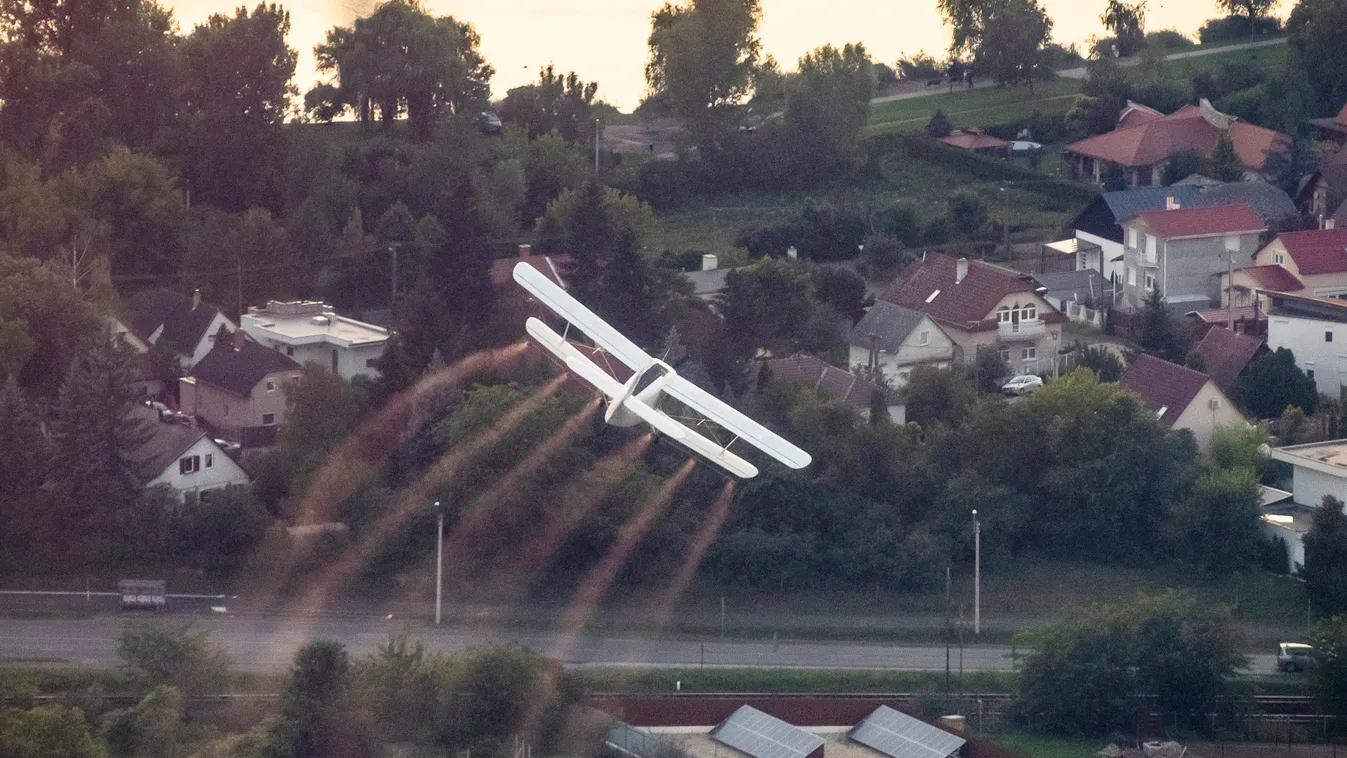 Kezdődik a szúnyogszezon, tartsuk távol a betolakodókat
