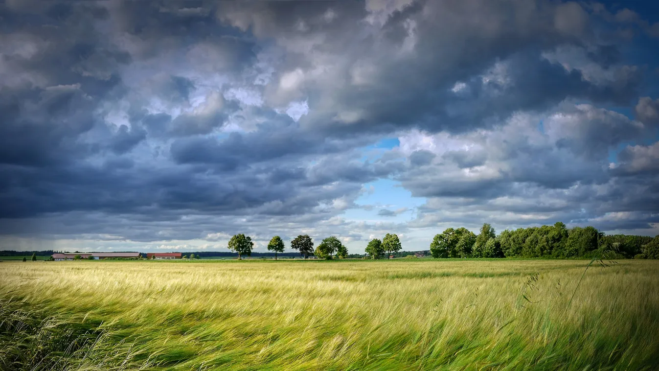 Viharos szél, borult ég: nem kegyelmez az időjárás vasárnap!