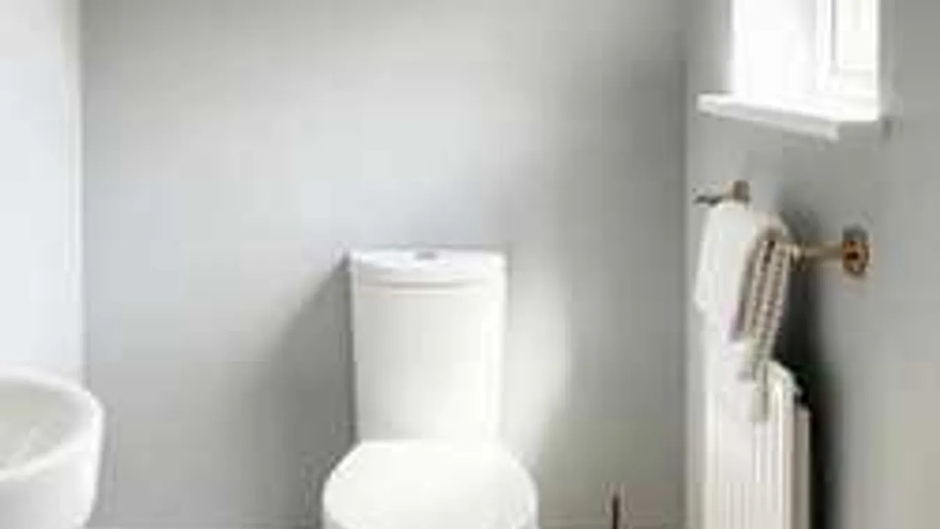 Lógass teafiltert a vécédbe: bámulatos lesz a hatása!