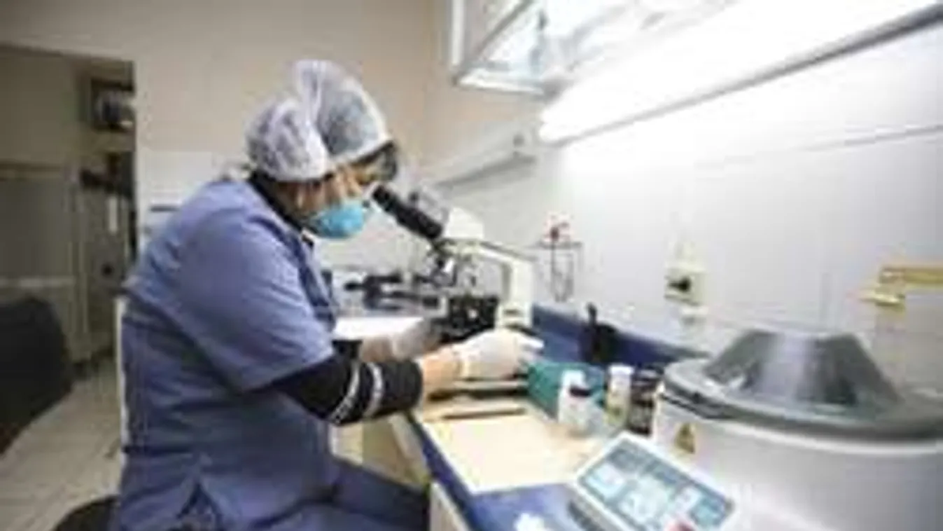 Kiderült, hol támad leginkább Magyarországon az influenzavírus!