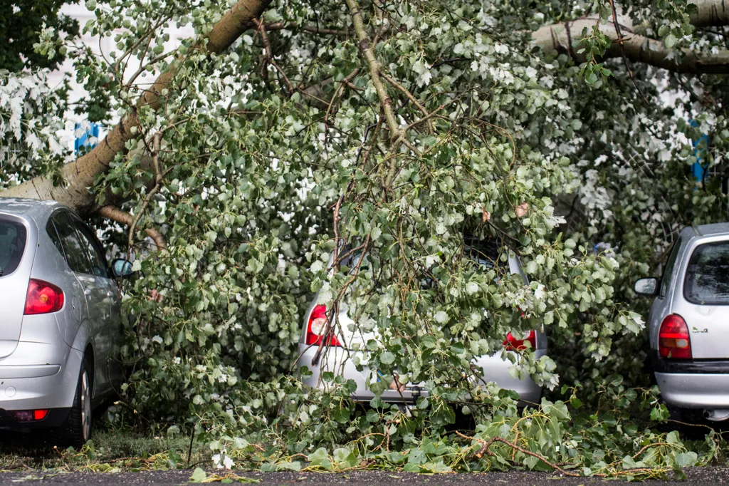 Vihar  Károk Bócsán