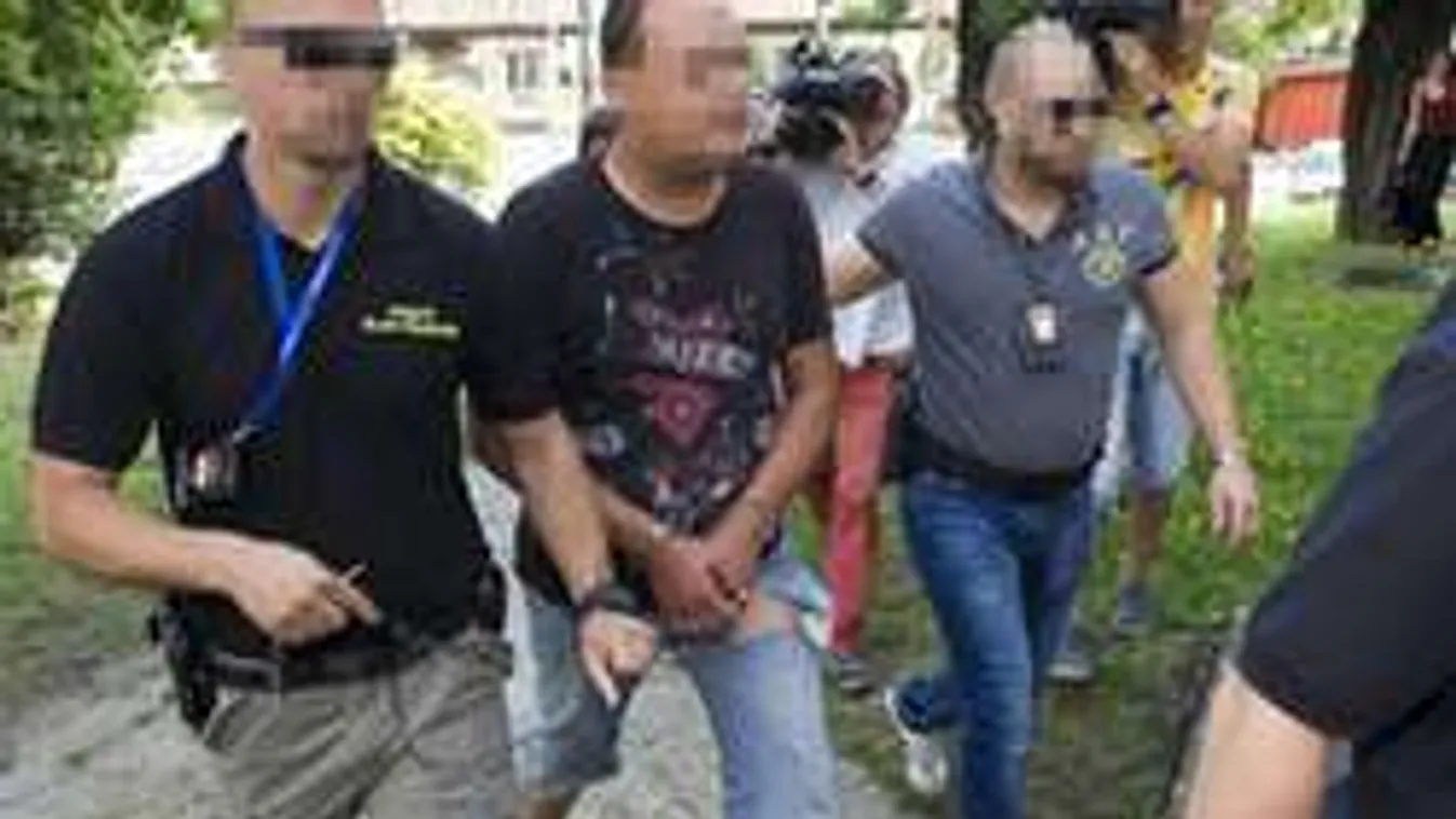 Kihallgatni sem lehetett rendesen: gyógyszerre ivott a gödöllői lány gyilkosa