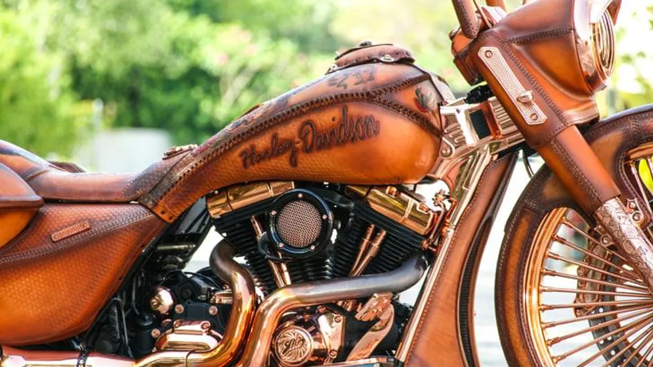 Magyar bőrcuccban szaggatja a flasztert ez a dögös Harley