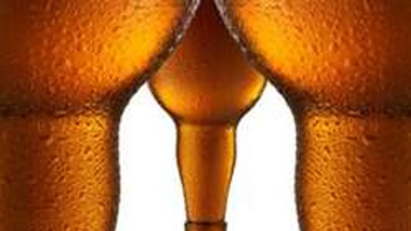 Íme, a 9 legkeményebb tény a péniszről!