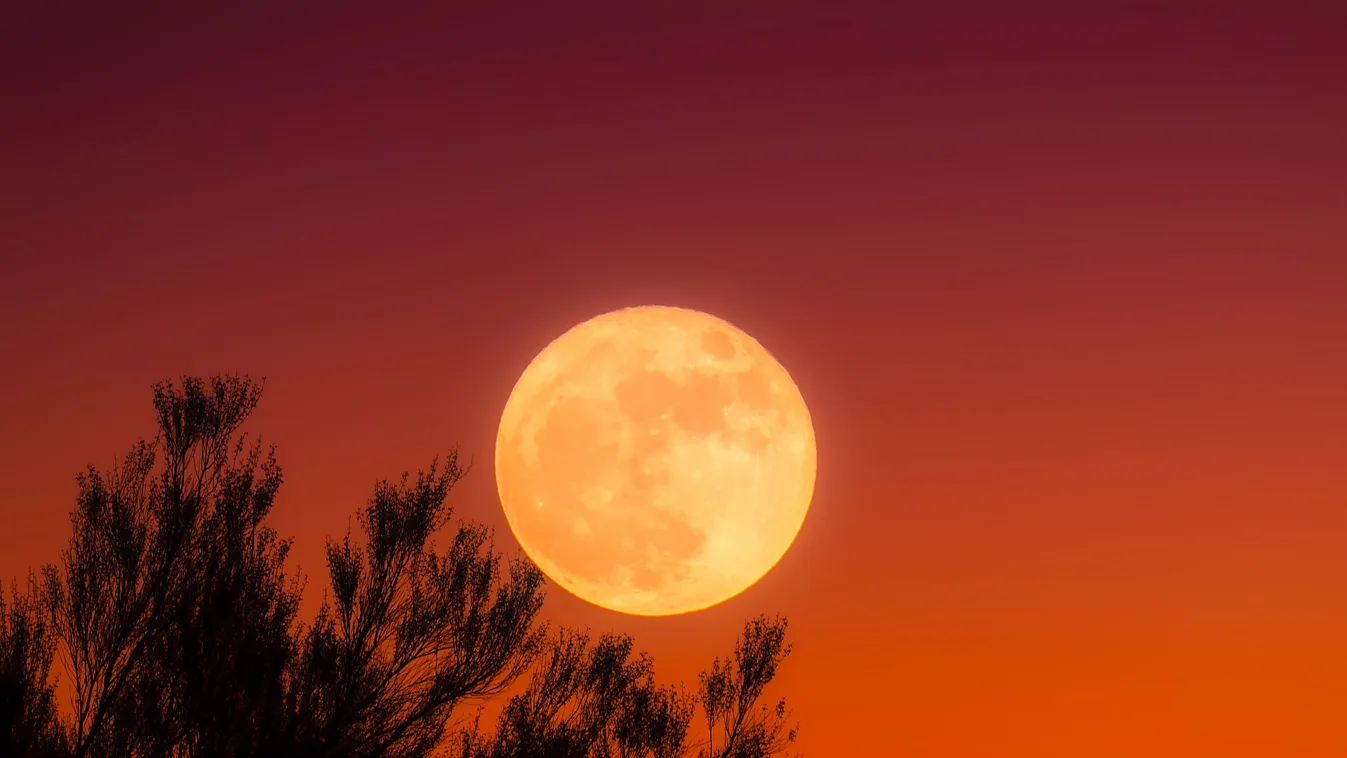 Nagyon különleges lesz a mostani péntek 13-a, ilyen csak húszévente van