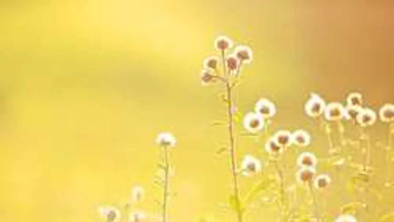 Meglepő változást hoz a következő napok időjárása!