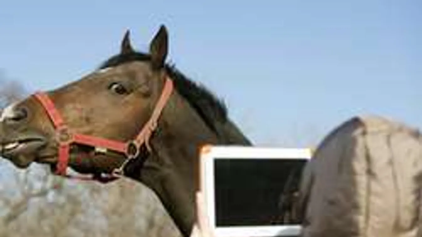 Mire használható Overdose neve?