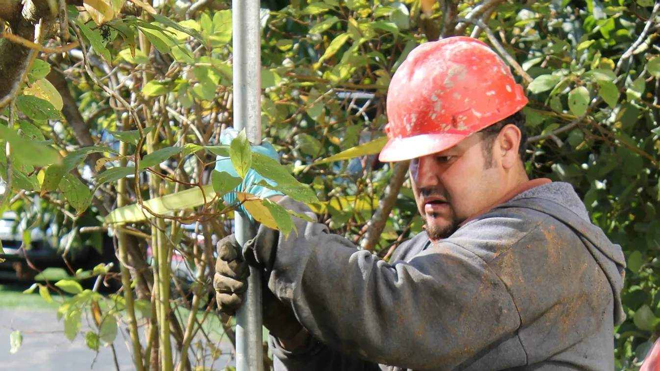 Kutásás közben került elő a földből az elképesztő drágakő