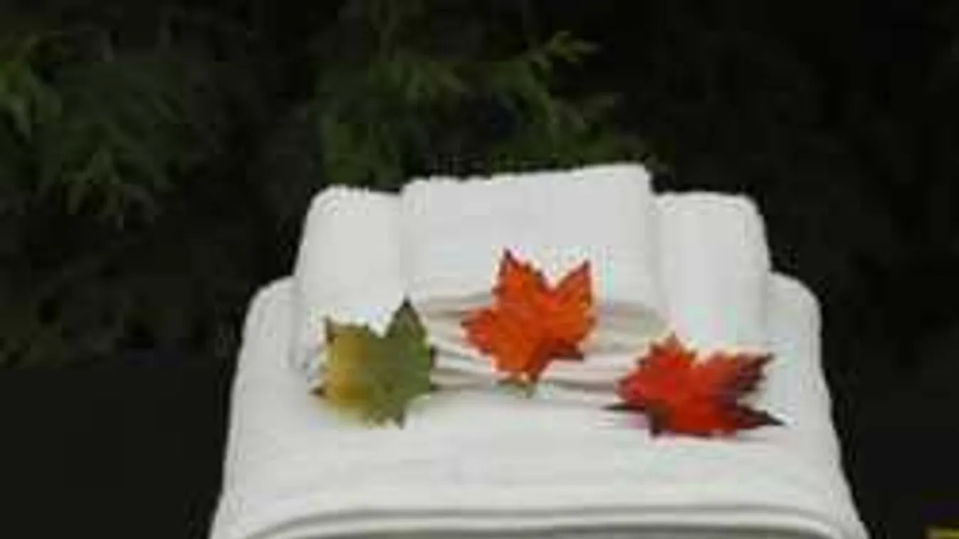 Elszürkültek otthon a törölközők? Így lesz minden ragyogó fehér újra