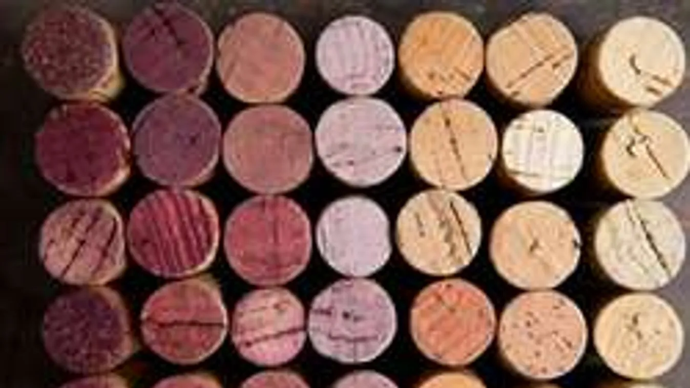 Nincs dugóhúzód? Semmi gond! Így nyisd ki az üveget!