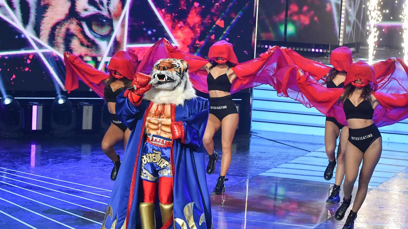 Nicsak, nincs több titok: kiderült, ki volt a Tigris jelmeze alatt!