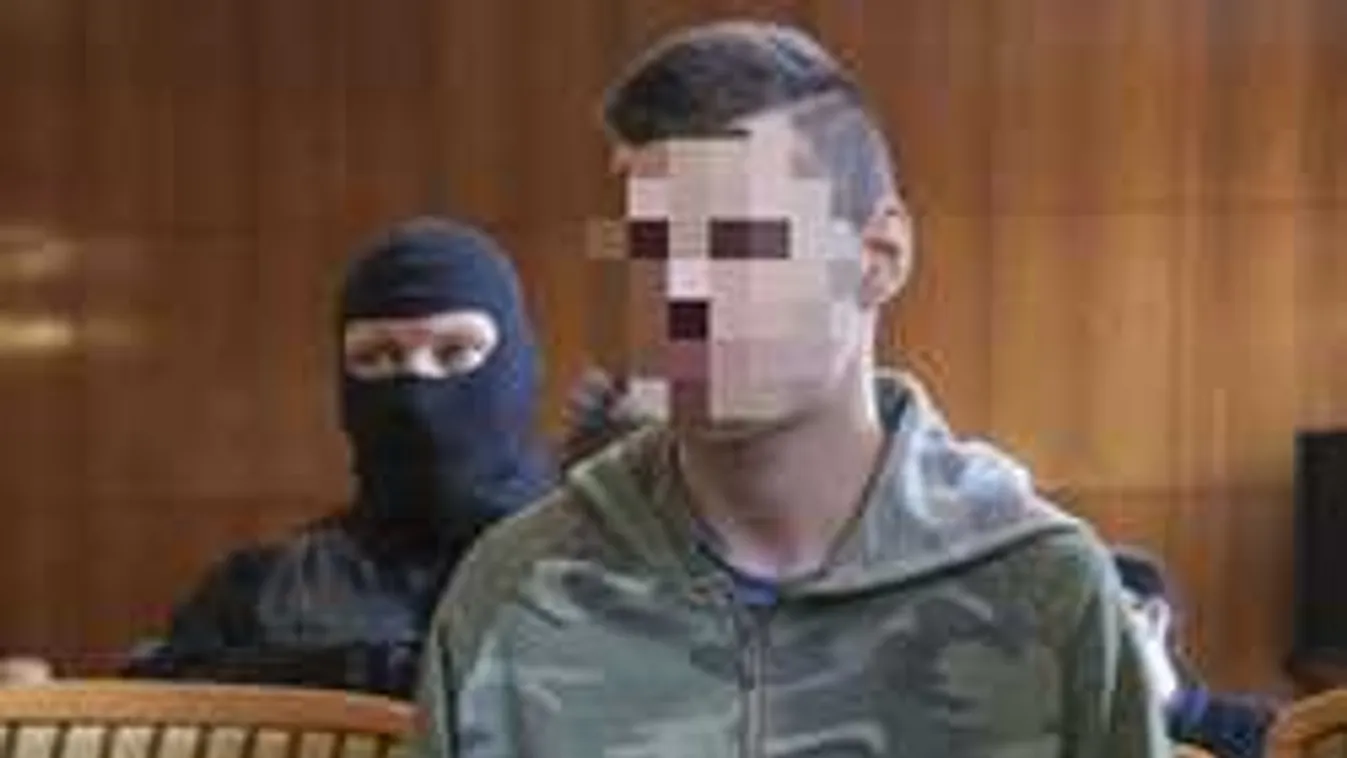 Döntött a bíróság a tatabányai hajléktalangyilkos fiú ügyében