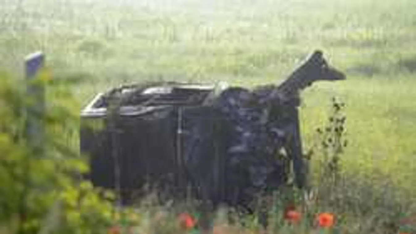 Megrendítő helyszíni fotó jött a hajnali halálos váci balesetről