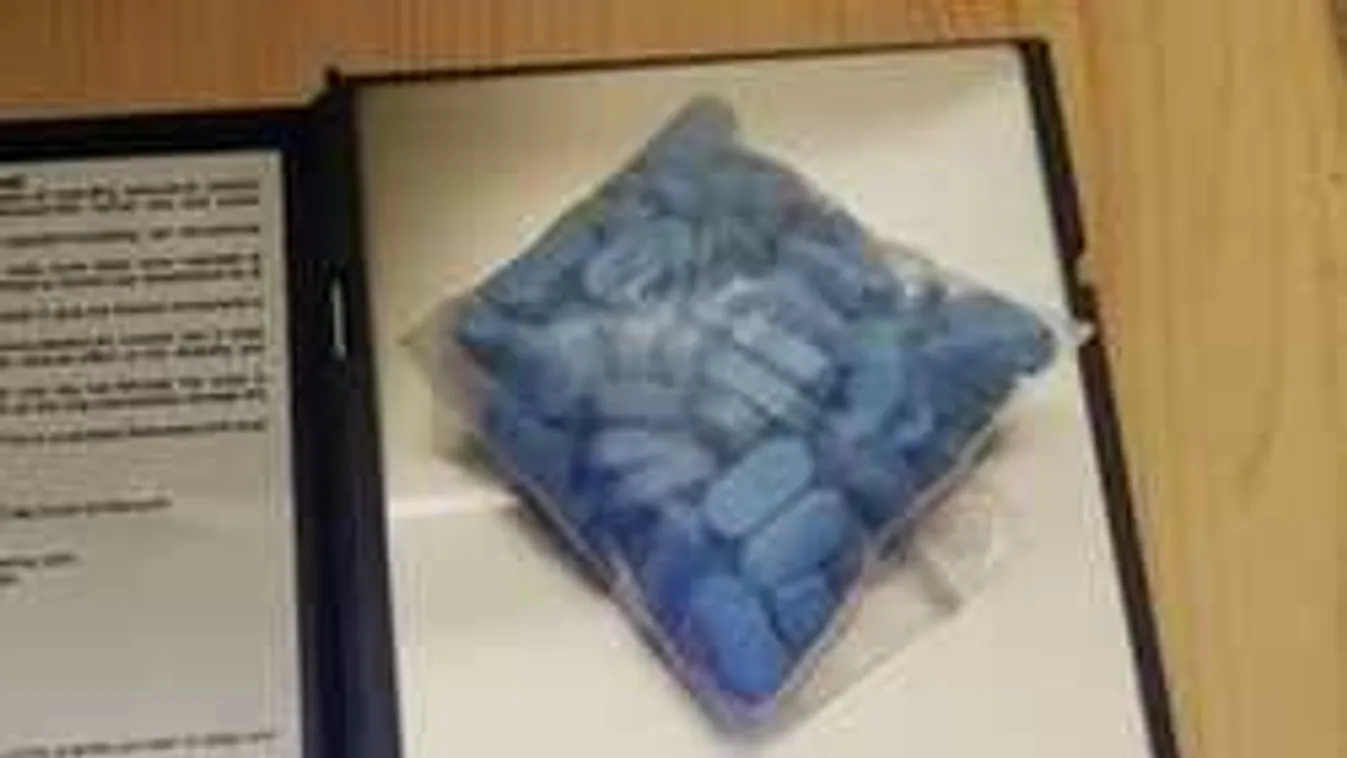 Lecsapott a rendőrség a budapesti házra, döbbenetes, mit találtak