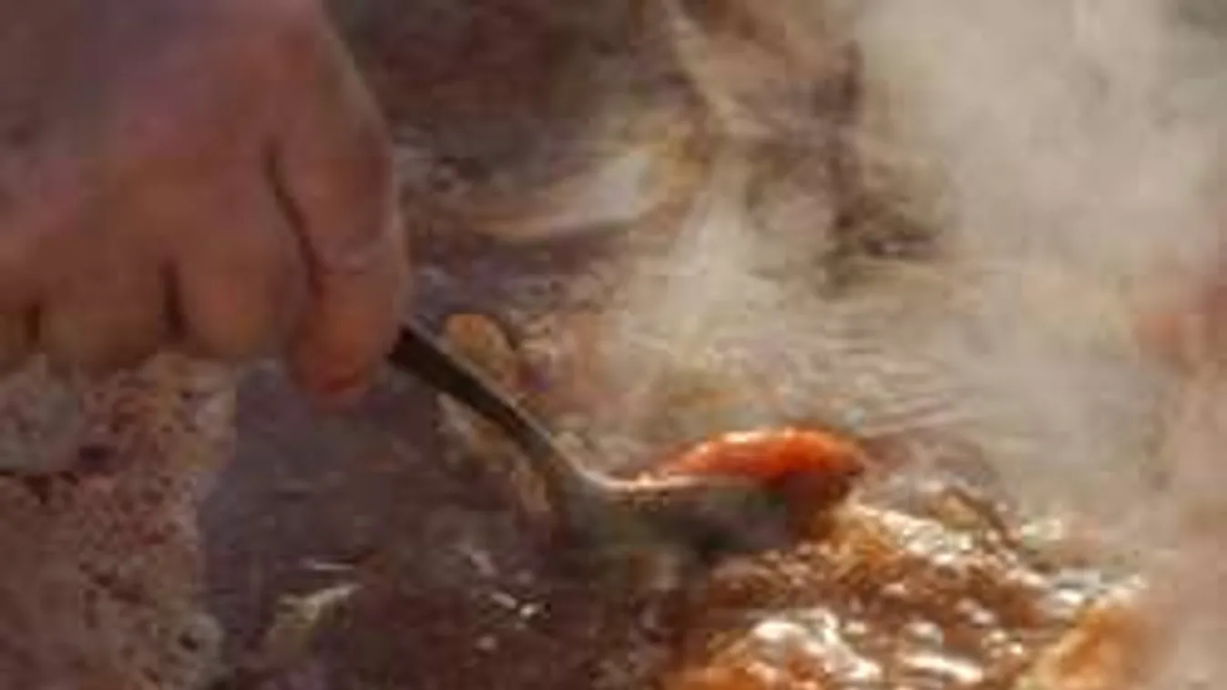 Dárdai utódjának halászlé kell!