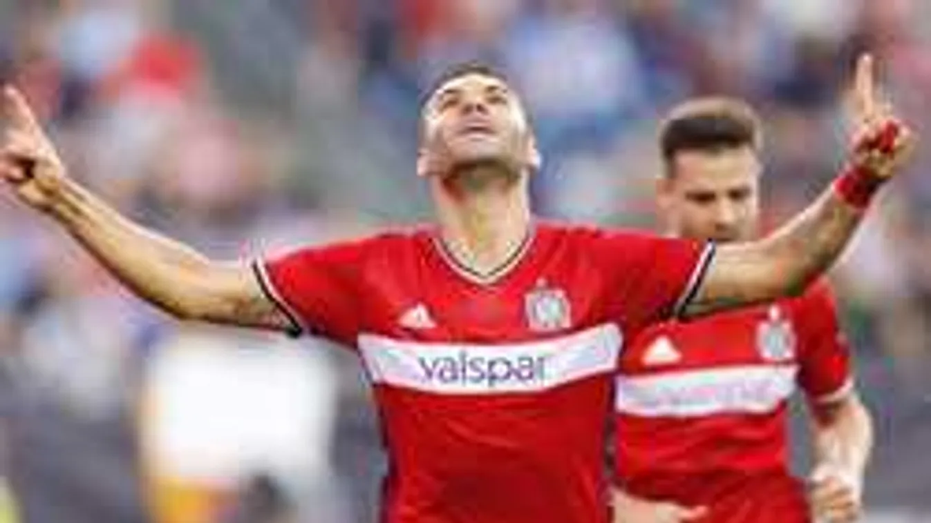 Sztárparádé, Nikolics világklasszisok közé került