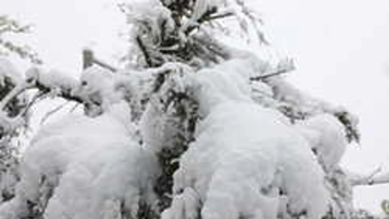 Összeomlott az USA légi közlekedése, utasok ezrei ragadtak a reptereken