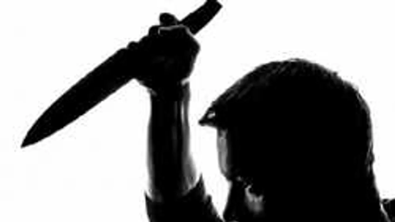 A csecsen migráns egy tűzoltókészülékkel verte egy afgán migráns fejét