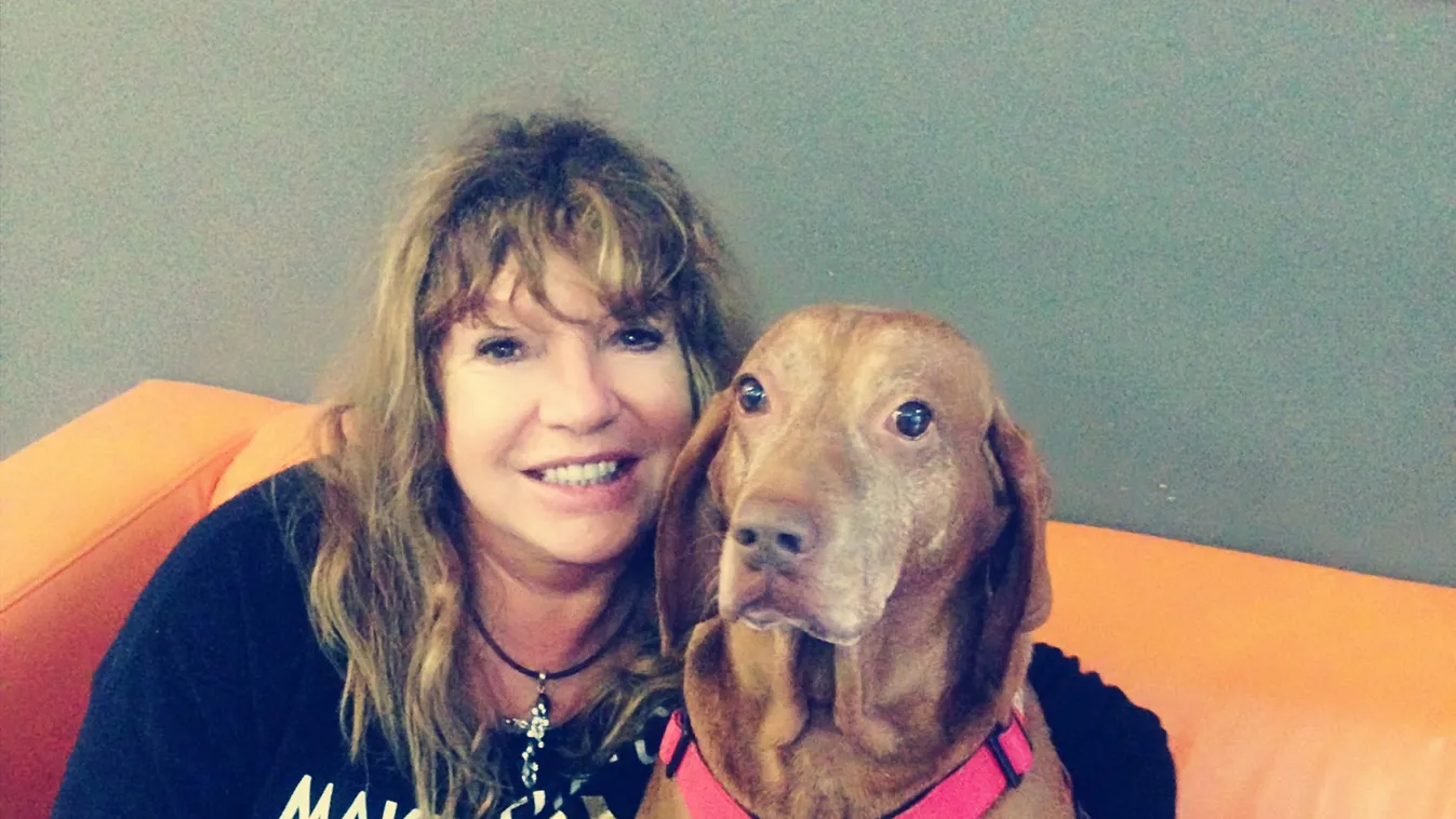 Zalatnay Cini: Segítsetek az idős kutyásoknak is!