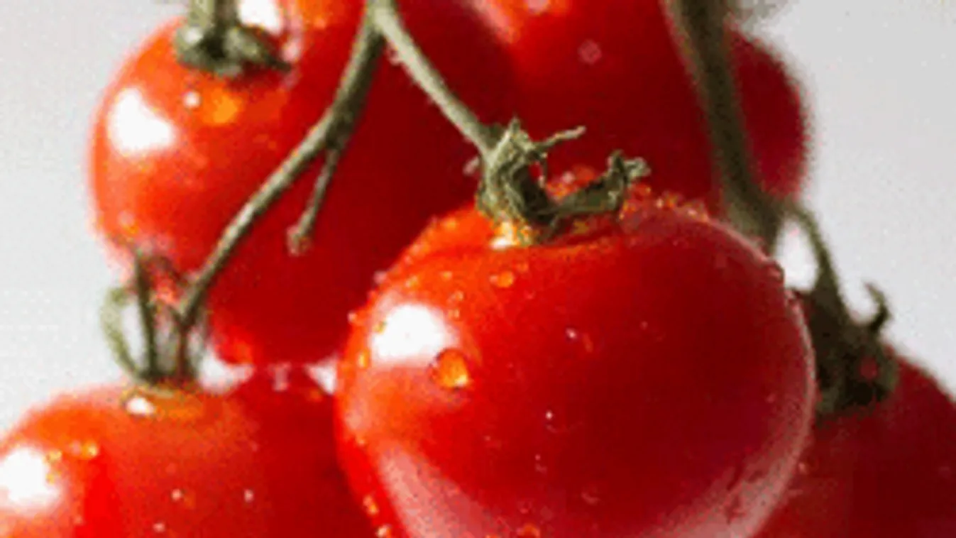 Így lesz cserépben is szuper a paradicsom