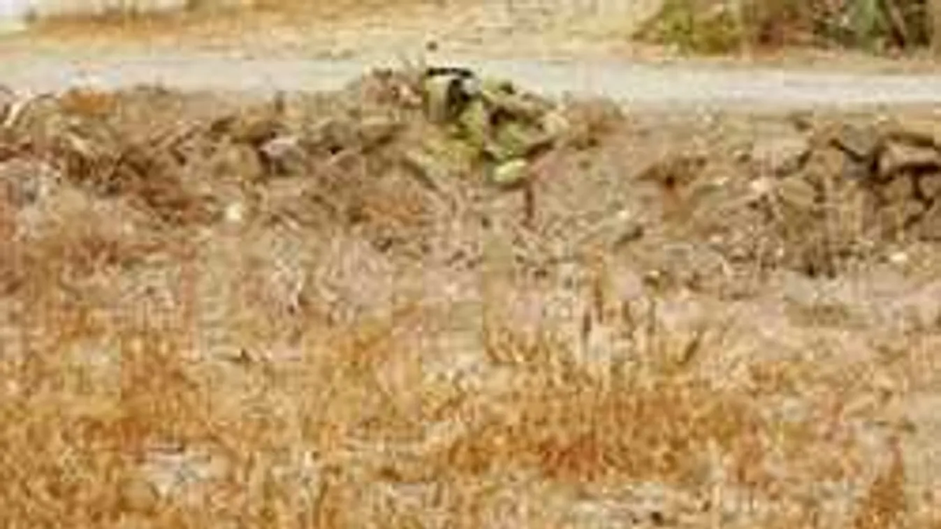 Íme, október legdurvább fejtörője - lehetetlen megtalálni a macskát a képen!