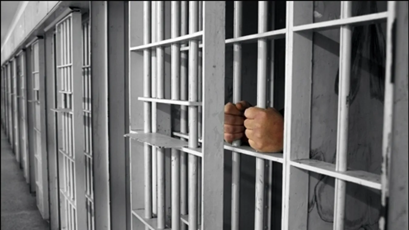 Nyolc évet kapott a DK volt politikusa