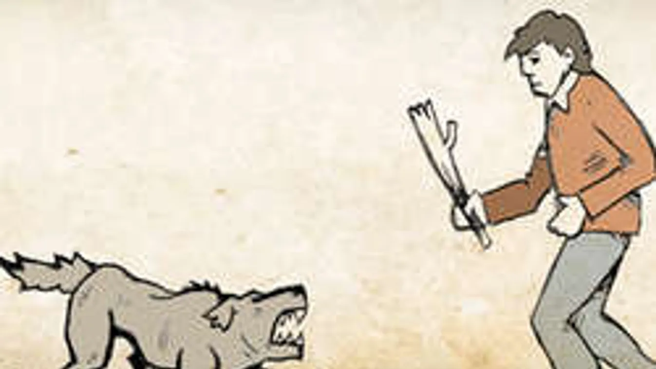 7 szabály: Így úszd meg a kutyatámadást!