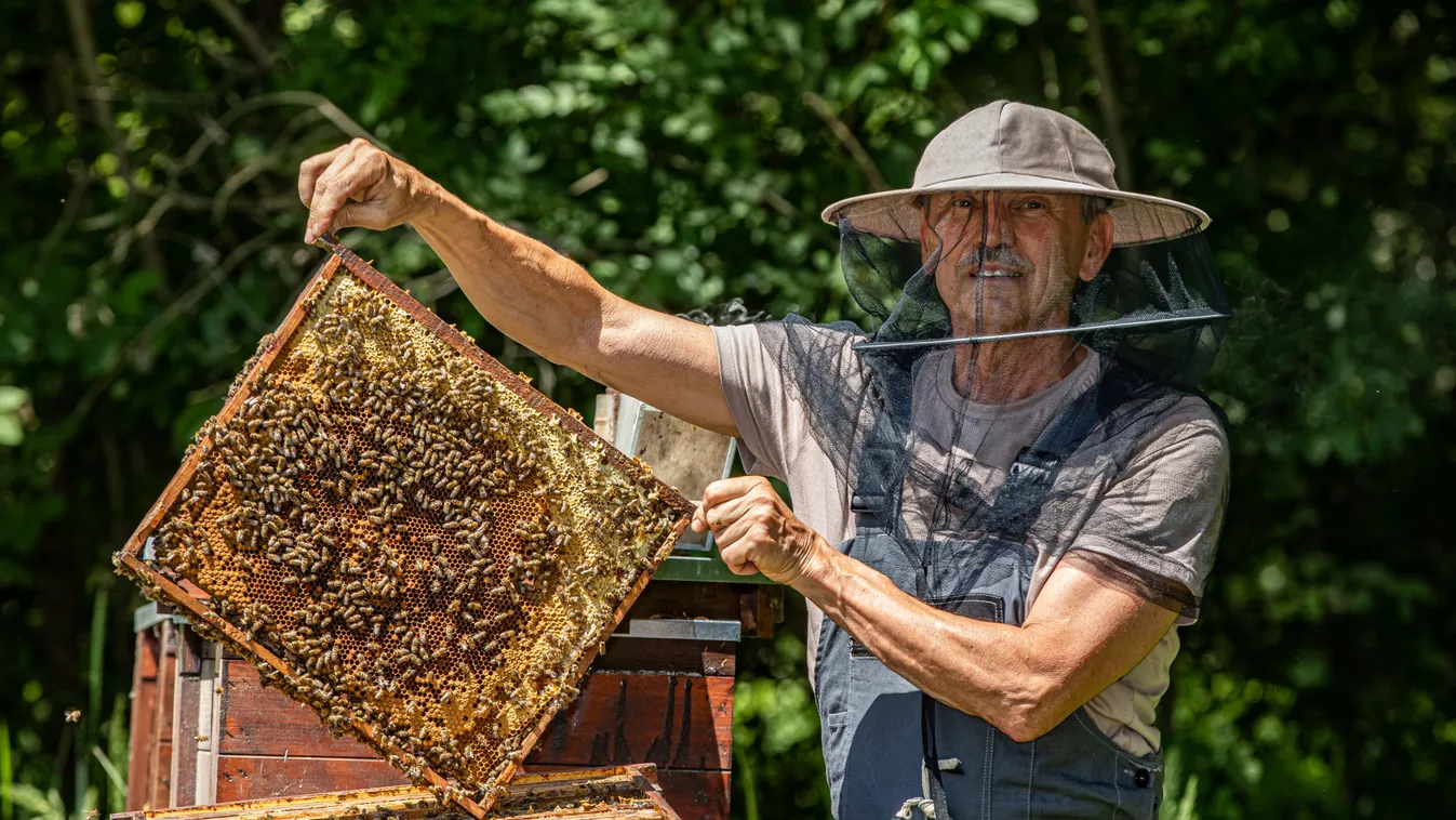 Rusvai Miklós a vírus miatt kezdett méhészkedni
