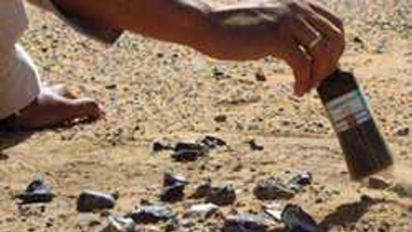 Most közölték a tudósok: elképesztő, mire bukkantak