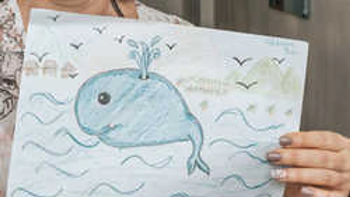 Két haláleset: Felakasztotta magát egy magyar fiú is a Kék Bálna miatt