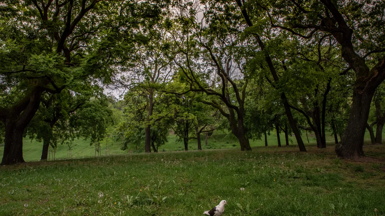 Ilyen kihalt sem volt még Budapest majáliskor – fotók és videó