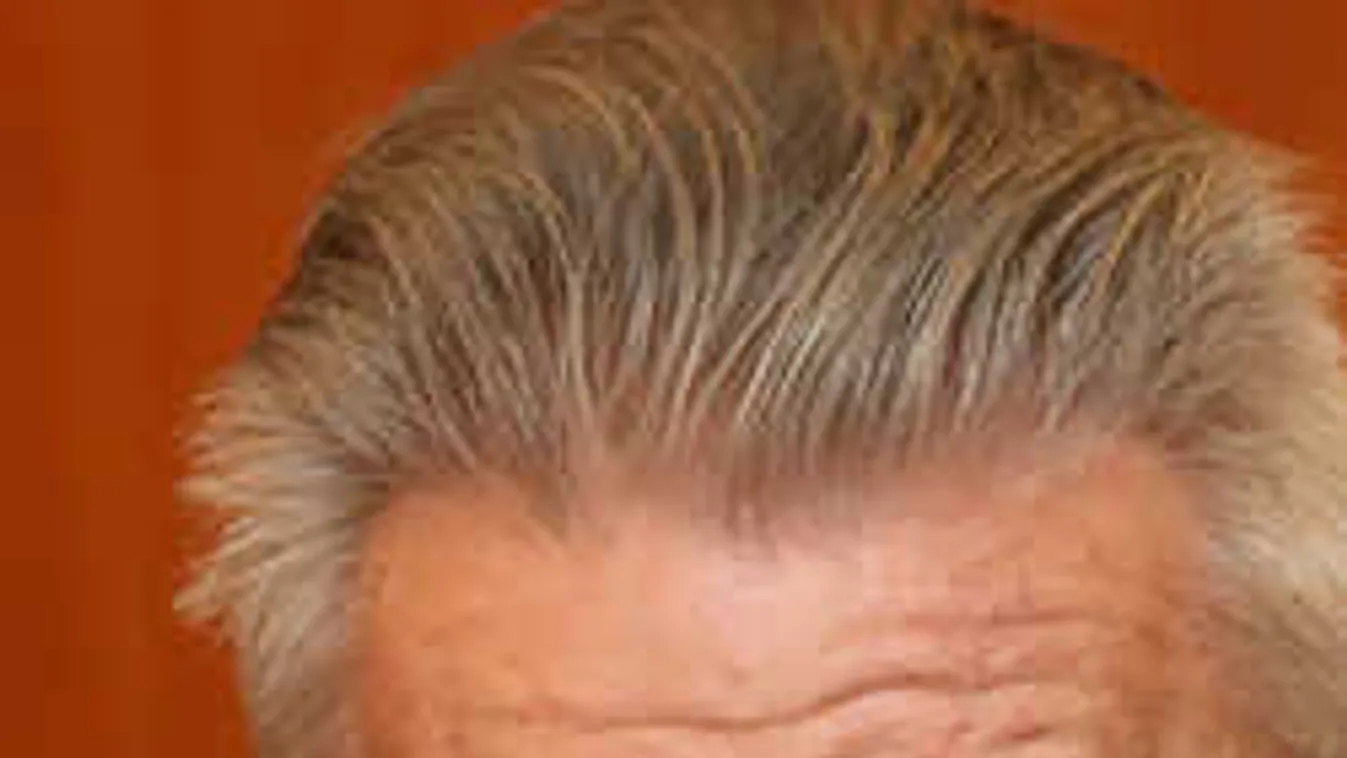 Beismerte bűnösségét Oszter Sándor felesége