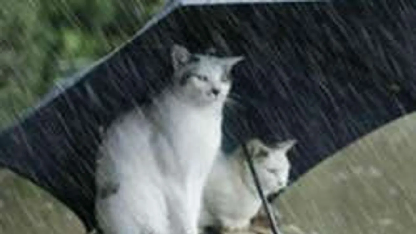 Időjárás: nem fogsz örülni annak, ami a következő napokban vár ránk