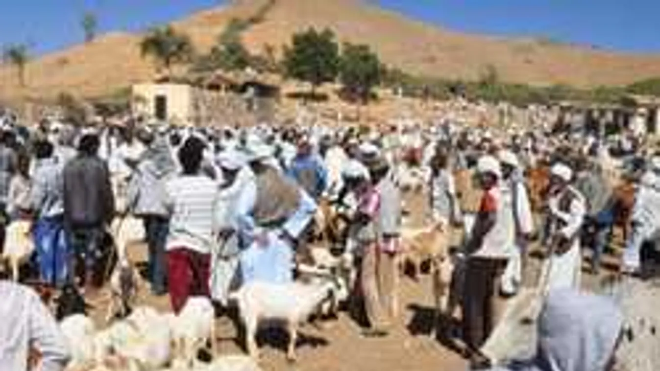 Svájc: eritreai bevándorlók, hazafelé! Egyelőre 3200 főről van szó