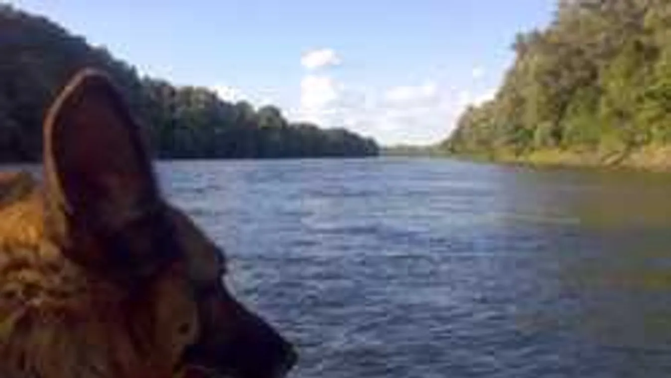 Eltűnt egy 15 éves lány a Kis-Dunában