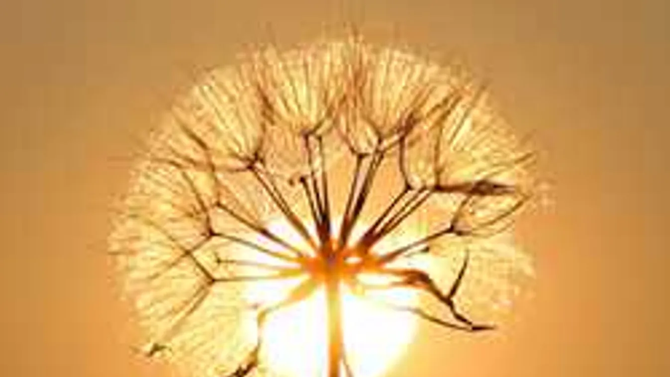 Hihetünk a jóslatnak? Most kiderül, milyen lesz a 2018-as időjárás