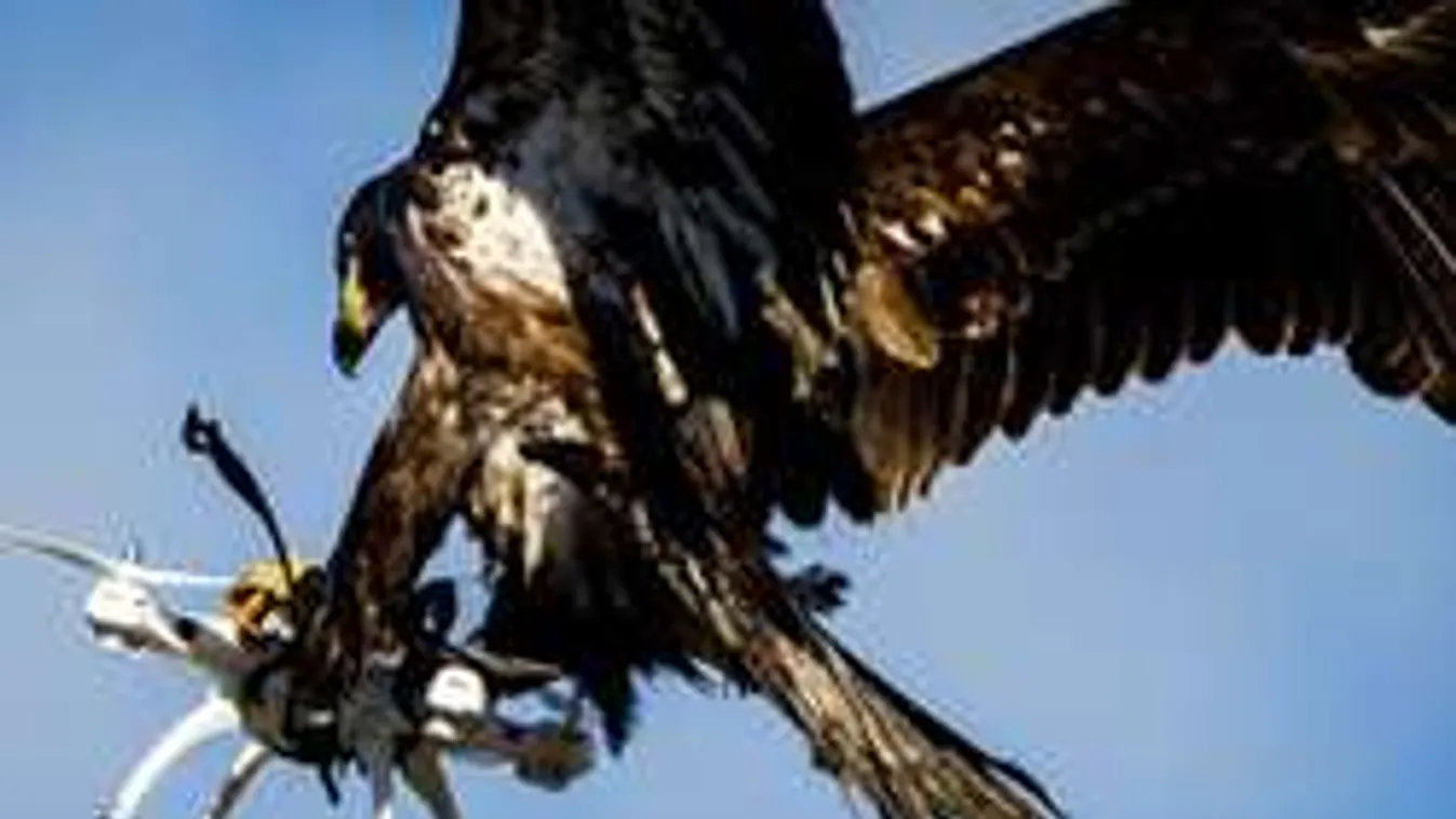 Itt a csodafegyver a terroristák ellen! - videó