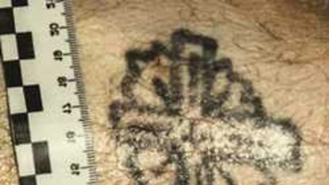 Így bukott le a kőbányai gyilkos emberrabló